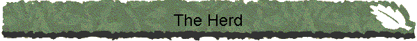 The Herd