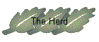 The Herd