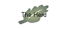 The Herd